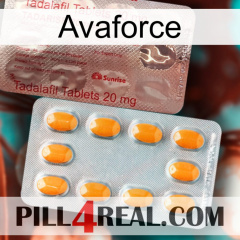 Avaforce new13